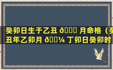 癸卯日生于乙丑 🐛 月命格（癸丑年乙卯月 🌼 丁卯日癸卯时）